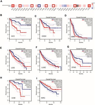 Characterization of the SARS-CoV-2 co-receptor NRP1 expression profiles in healthy people and cancer patients: Implication for susceptibility to COVID-19 disease and potential therapeutic strategy